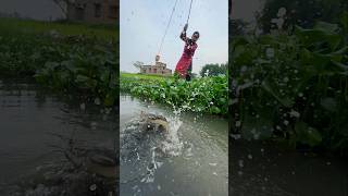 Unique Hook Fishing In Village Mud Water fishingmethod fishingtechnique girlsfishingbass fishing [upl. by Elleron]