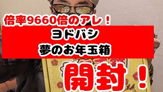 ★ヨドバシ 2024年 夢のお年玉箱★9660倍のアレが届いたので開封 チャンネル名も決まりました [upl. by Rettke]