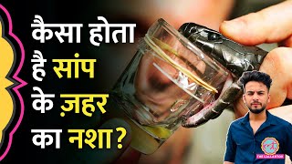 Elvish Yadav मामले में जिस सांप के ज़हर की बात हुई उसे पीने से होता क्या है  Snake Venom [upl. by Moule]