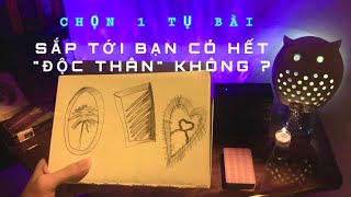 SẮP TỚI BẠN CÓ HẾT quotĐỘC THÂNquot KHÔNG  💜 Kitoàn Tarot Channel [upl. by Raines]