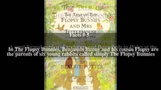 The Tale Of The Flopsy Bunnies Top  10 Facts [upl. by Henryk]