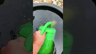 Explaining Rain Chains and Watering Ferns 🌧️ 🌻 [upl. by Dublin]