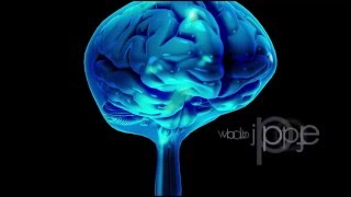 Neuroanatomy The Cerebrospinal Fluid CSF [upl. by Alliuqahs]