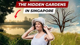 Jurong Lake Gardens COMPLETE Walking Tour  LAKESIDE GARDEN [upl. by Orvie]