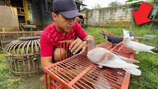 INI BURUNG SEKALINYA GIRING SAMPAI BOTAK [upl. by Kcirdaed591]