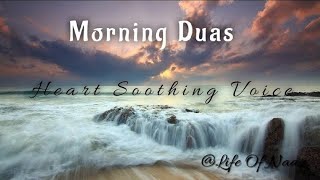 Morning Duas In Full  Recited by Oman Hisham Al Arabic Adhkar and Dhikr [upl. by Nednal]