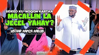 quotSIDEED KU NOQON KARTAA MACALLIN LA JECEL YAHAYquot  USTAAD HAMZA HABIIB [upl. by Weaver]