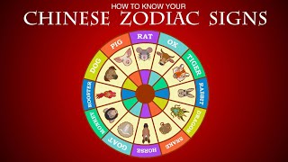 Dog 🐶 the chinese zodiac sign🌒🪧 characteristics and compatibility [upl. by Natty]