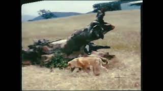 MGM Cartoon Reissued 1957 Old Yeller Ending [upl. by Eigroeg]