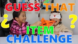 Blindfolded Guess that Item Challenge [upl. by Ailime]