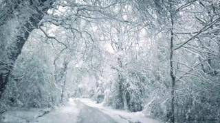 Blizzard Sounds for Sleep Relaxation amp Staying Cool  Snowstorm Sounds amp Howling Wind in the Forest [upl. by Onaicilef]