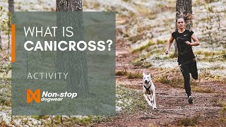 What is canicross Guide to running with your dog [upl. by Nnylav298]