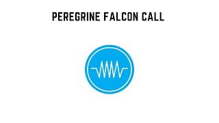 Peregrine Falcon Call [upl. by Simonette593]