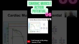 Cardiac Muscle Action Potential  Part6 shorts youtubeshorts youtube ytshorts [upl. by Wemolohtrab]