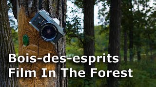 Episode 64 Boisdesesprits  Film In The Forest [upl. by Naasar]