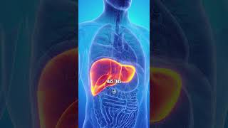 Your Liver Can Actually Regrow 👉 [upl. by Novyart]