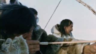 Tuktu 8 The Magic Bow Inuit hunting with bow and arrow [upl. by Rosenkrantz]