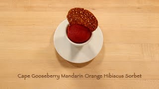 Cape Gooseberry Mandarin Orange Hibiscus Sorbet [upl. by Marlow]