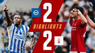 Sosas FIRST Goal 🇵🇾  Brighton 22 Nottingham Forest  Premier League Highlights [upl. by Dorinda196]