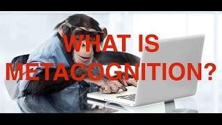 What Is Metacognition [upl. by Adekam498]