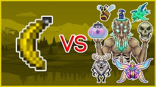 Terraria 1436  Bananarang vs ALL Bosses [upl. by Giaimo]