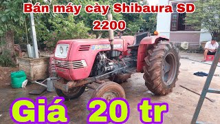 Bán máy cày Shibaura SD 2200 [upl. by Yelrebma]