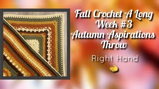 FALL Crochet A Long Week 3 “The Autumn Aspirations Throw”Right Hand Crochet [upl. by Aicyla]