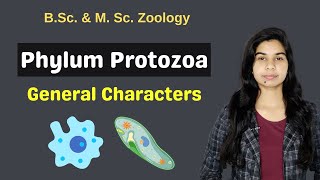 Phylum Protozoa  General Characters  B Sc  M Sc  Zoology [upl. by Ern]