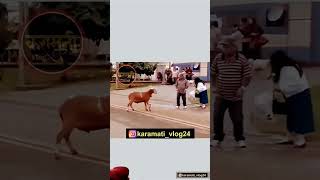 Mahtari vs ertiga funny video mahtari versis bhikhari [upl. by Nylssej]