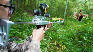 Slingshot rifle hunted a pheasant with fishing wheel and dart for the first time [upl. by Tiloine486]