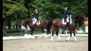 Pfingstturnier Wiesbaden 2010 Hyperflexion Rollkur Dressage [upl. by Hendrika428]