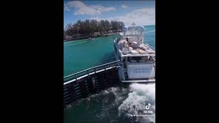 Opppss albania automobile durecorder yachtlife durres yachting dog luxury live boatingdua [upl. by Hooge]