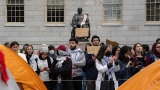 Student Perspectives From the ProPalestine Harvard Yard Encampment [upl. by Alludba]