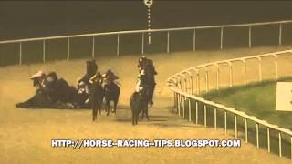 Horse Racing carnage on Wolverhampton Tapeta [upl. by Ymmac]