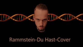 Rammstein  Du Hast Cover [upl. by Akialam959]