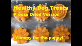 Healthy Dog Treats  Freeze Dried [upl. by Woodberry500]