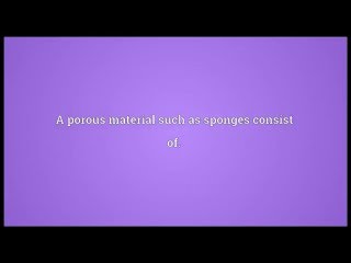 Sponge Meaning [upl. by Howell]