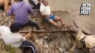 Leopard savagely attacks man trying to rescue it [upl. by Emirac458]