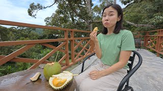 1 Day Trip to quotBalik Pulau Penang Asam Laksa Durian Cafe [upl. by Uhthna437]