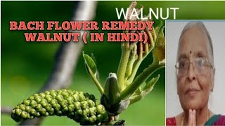 Bach Flower Remedy Walnut In Hindi [upl. by Eilrebmik]