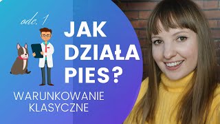 JAK DZIAŁA PIES odc1 Warunkowanie klasyczne [upl. by Nahtanoy]