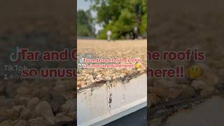 Tar and gravel on roof oddlysatisfying [upl. by Norvun110]