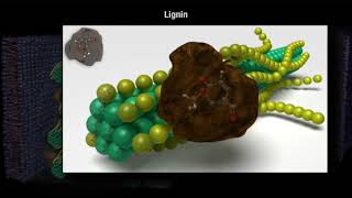 How Decomposition Works Part 1 [upl. by Durwyn]