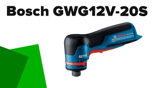 Bosch GWG12V20S Review Professional Right Angle Die Grinder [upl. by Fanya]