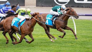 FIRST SETTLER wins the G2 Danehill Stakes [upl. by Gibby798]