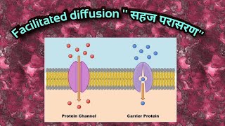 Facilitated diffusion quotसहज विसरणquot [upl. by Muriel]