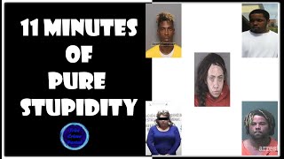 11 Minutes of Pure Criminal Stupidity [upl. by Irap635]