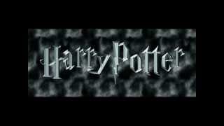 Harry Potter Film Müziği [upl. by Thay]