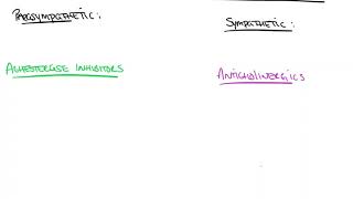 The Effects of Acetylcholinesterase Inhibitors and Anticholinergics [upl. by Aititil]