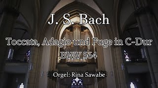 【Orgel】Johann Sebastian Bach  Toccata Adagio und Fuge in C Dur BWV564 [upl. by Tizes496]